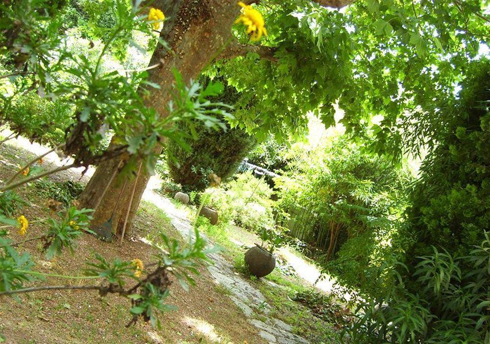 Le Prado De St Raph Hotel Saint-Raphaël Buitenkant foto